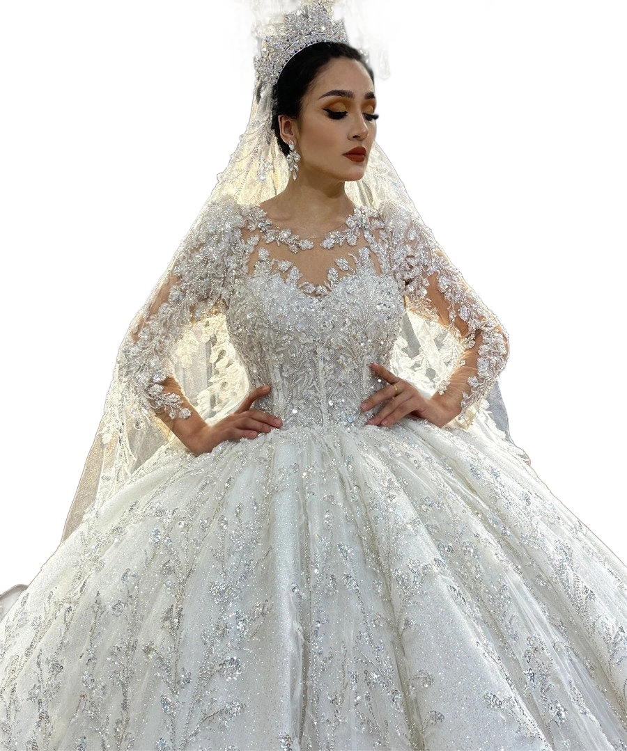 Princess Long Sleeve Ballgown Wedding Dress